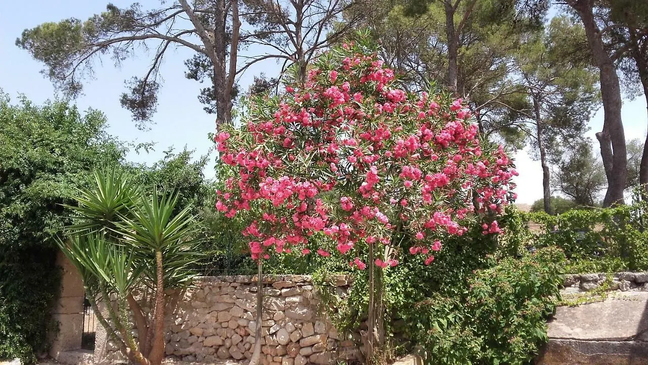 Holiday home Casa Castellitx Mallorca